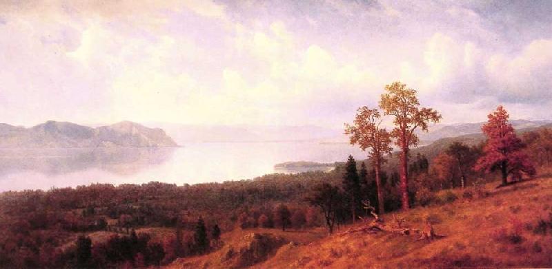 Albert Bierstadt View of the Hudson Looking Across the Tappan Zee-Towards Hook Mountain oil painting picture